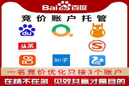 行业报告：专业SEM托管的成功实践与挑战